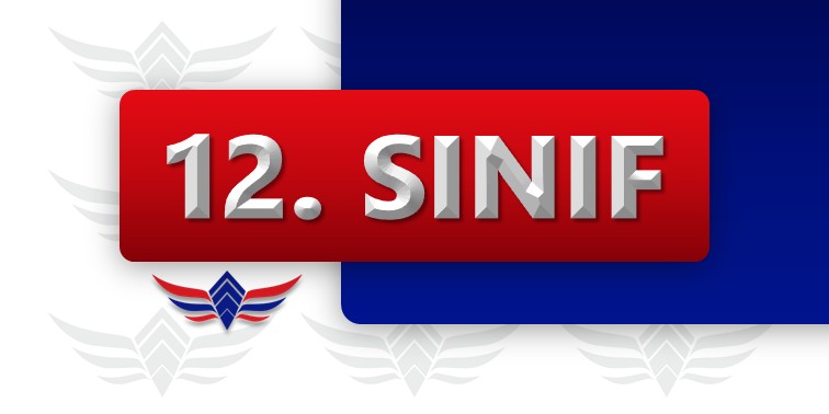 12. Sınıf